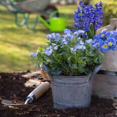 Ihr Fachgeschäft für Blumen in Kerpen.